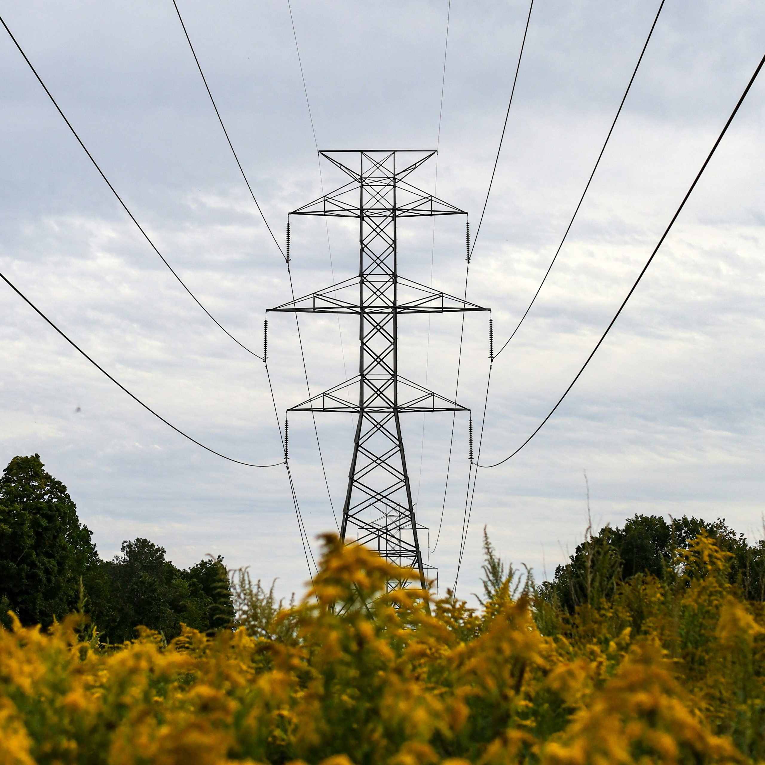 mark-bishop-wuX4gJ5dH6A-unsplash