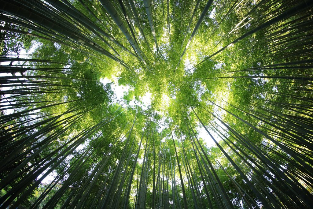 2025 Sustainability Report Updates: JFE Holdings